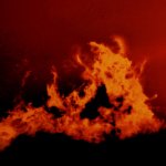 画像3: 幸運をもたらす奇跡の写真「灼熱の龍」 (3)