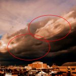 画像4: 幸運をもたらす奇跡の写真「龍群」 (4)