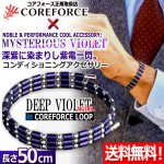 画像1: コンディショニングアクセサリー コアフォースループ バイオレット×SUS50 (1)