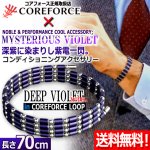 画像1: コンディショニングアクセサリー コアフォースループ バイオレット×SUS70 (1)