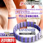 画像1: コンディショニングアクセサリー コアフォースループ ラベンダー×SUS70 (1)