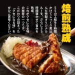 画像3: ゴーゴーカレー 冷凍 中辛 5食セット (3)