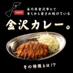 画像9: ゴーゴーカレー 冷凍 中辛 5食セット (9)