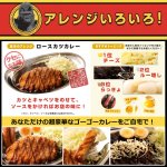 画像14: ゴーゴーカレー 冷凍 中辛 5食セット (14)