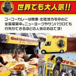 画像13: ゴーゴーカレー 冷凍 中辛 5食セット (13)