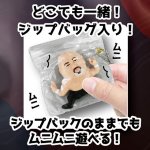 画像8: 武藤敬司ジップバッグ入りミニスクイーズ ランダム3種セット (8)