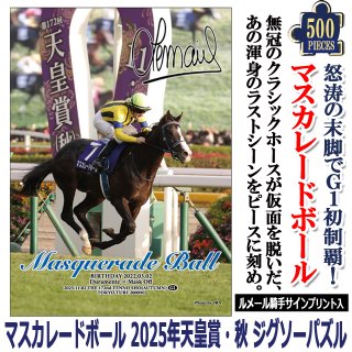 エフフォーリア」ジグソーパズル500ピースSNT-EJP