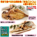 画像1: 骨まで食べれる焼き魚「まるごとくん」4種9枚セット (1)