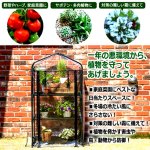画像3: オールシーズングリーン＆フラワー！ビニールガーデンハウス3段ラック (3)