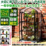 画像1: オールシーズングリーン＆フラワー！ビニールガーデンハウス3段ラック (1)