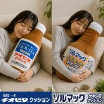 画像8: ソルマック サキノミ クッション (8)