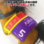 画像3: 推し馬コレクション「ベラジオオペラ（第69回大阪杯 優勝レイ付き）」ミドルサイズぬいぐるみ (3)