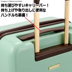 画像3: ちいかわ ジッパースーツケース35L (3)