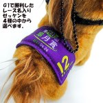 画像7: 推し馬コレクション「オルフェーヴル」ボールチェーン付きマスコット (7)