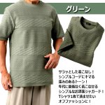 画像5: 送料無料 Franco CollezioniジャガードクラッシーTシャツ (5)
