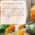 画像9: 小林果園 甘みをぎゅっと凍らせ蜜柑 3袋(6個) x 2箱（計12個入） (9)