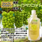 画像5: 亀久堂 のむくず餅 葛じゅる 3種セット (5)