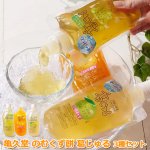 画像14: 亀久堂 のむくず餅 葛じゅる 3種セット (14)