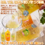 画像1: 亀久堂 のむくず餅 葛じゅる 3種セット (1)