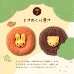 画像4: フォレシピ ちいさな森のドーナツ3個 うさぎBOX入 (4)