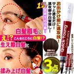 画像1: まゆげ＆生え際の白髪を隠して染めていく！クイックヤングカラースティック ダークブラウン 3点 (1)