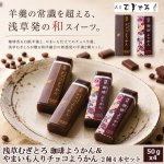画像1: 浅草むぎとろ 珈琲ようかん＆やまいも入りチョコようかん 2種4本セット (1)