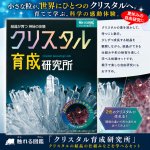 画像1: 触れる図鑑「クリスタル育成研究所」クリスタルの結晶の仕組みなどを学べるセット (1)