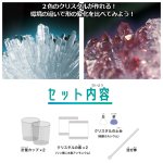 画像3: 触れる図鑑「クリスタル育成研究所」クリスタルの結晶の仕組みなどを学べるセット (3)