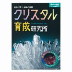画像2: 触れる図鑑「クリスタル育成研究所」クリスタルの結晶の仕組みなどを学べるセット (2)