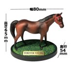画像6: フォーエバーヤング ディスプレイフィギュア (6)