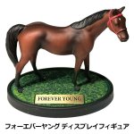 画像7: フォーエバーヤング ディスプレイフィギュア (7)