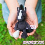 画像12: NICI(ニキ)ダービーフレンズ キーリング「イクイノックス」 (12)