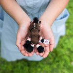 画像5: NICI(ニキ)ダービーフレンズ キーリング「リバティアイランド」 (5)
