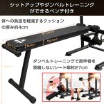 画像5: 送料無料 マッスルトレーニング＆ストレッチジム (5)