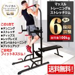 画像1: 送料無料 マッスルトレーニング＆ストレッチジム (1)