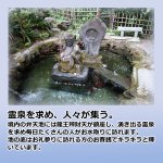 画像9: 送料無料！水澤観世音 龍王弁財天 開眼供養済み (9)