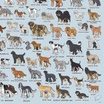 画像6: ジグソー「The Dog's Atelier」フレームセット（1000P） (6)