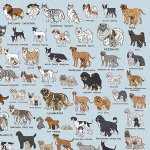 画像5: ジグソー「The Dog's Atelier」フレームセット（1000P） (5)