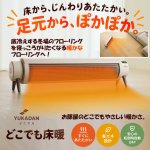 画像1: 送料無料！どこでも床暖 (1)
