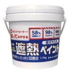 画像9: DIY暮らし改善 塗ってはがせる！しっかり目隠し窓ガラス用遮熱ペイント1.7kg  (9)