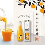 画像3: 果汁100％ジュース ホシフルーツ プロデュース みかんの花嫁 (3)