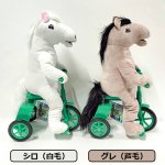 画像7: とぼけ顔のシロとグレ おさんぽUMAさん三輪車で今日も出発！ (7)