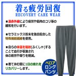 画像3: 送料無料！一般医療機器 着る疲労回復リカバリーケアウエア ベロアロングパンツ (3)