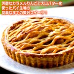画像3: 送料無料 BARCOS濃厚カラメルりんご贅沢アップルパイ 6号ホール (3)