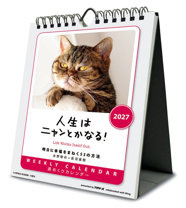 画像1: 2027年人生はニャンとかなる！ 卓上/壁掛カレンダー (1)