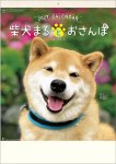 画像1: 2027年柴犬まるとおさんぽカレンダー (1)