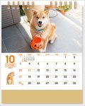 画像2: 2027年卓上 柴犬まるとおさんぽカレンダー (2)