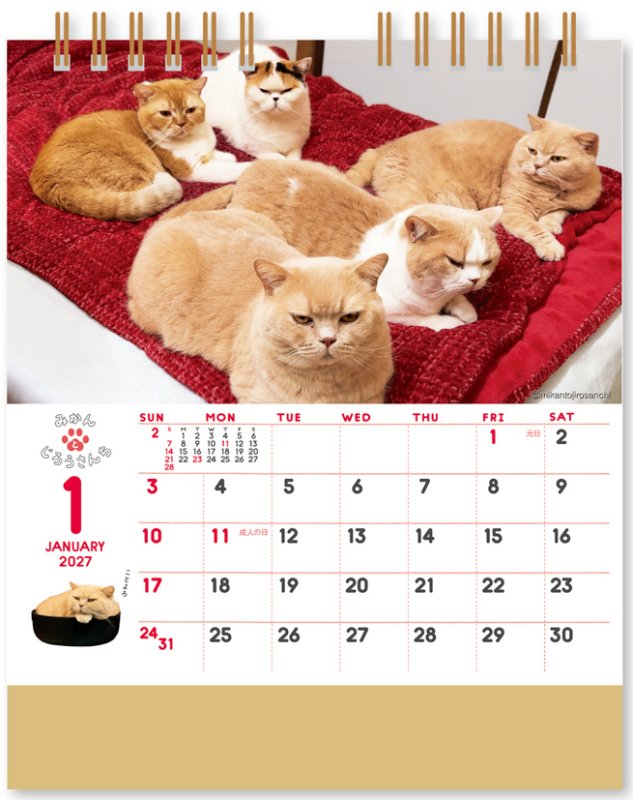 画像2: 2027年卓上 ねこと生活 みかんとじろうさんちカレンダー (2)