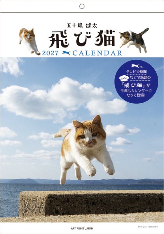 画像1: 2027年飛び猫カレンダー (1)