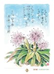 画像2: 2027年万年 星野富弘 31枚の詩画日めくり どうしても必要なものはただひとつカレンダー (2)